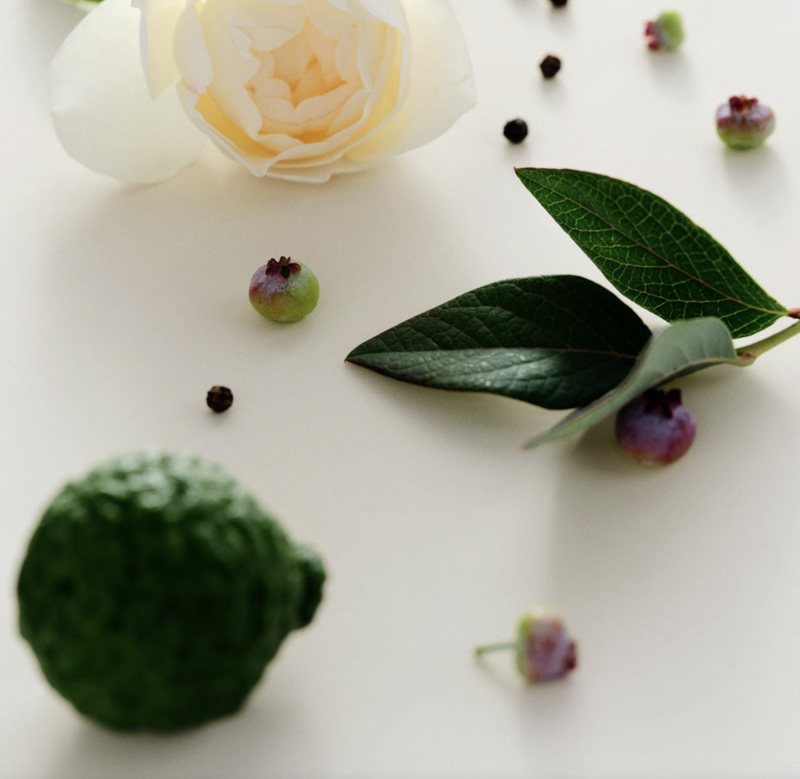 EAU DE PARFUM ANTIDRIS CASSIS