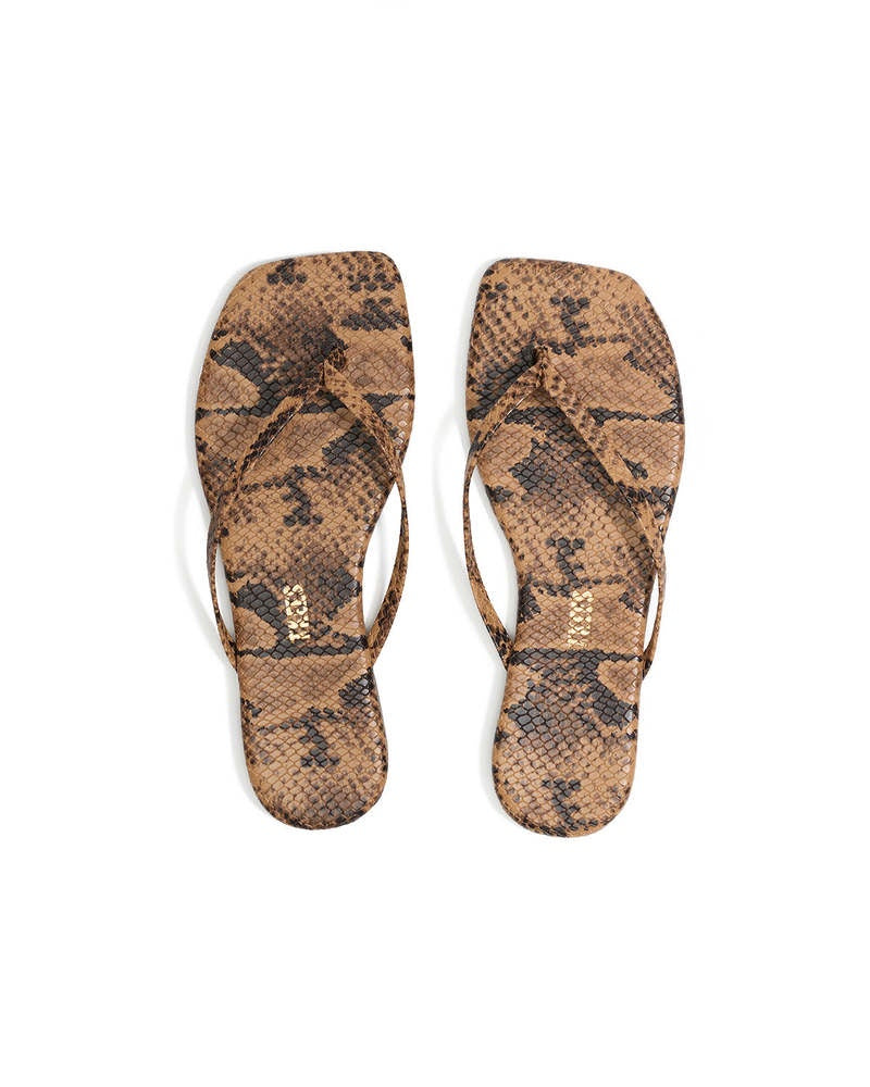 Square Lily Coco Snake
